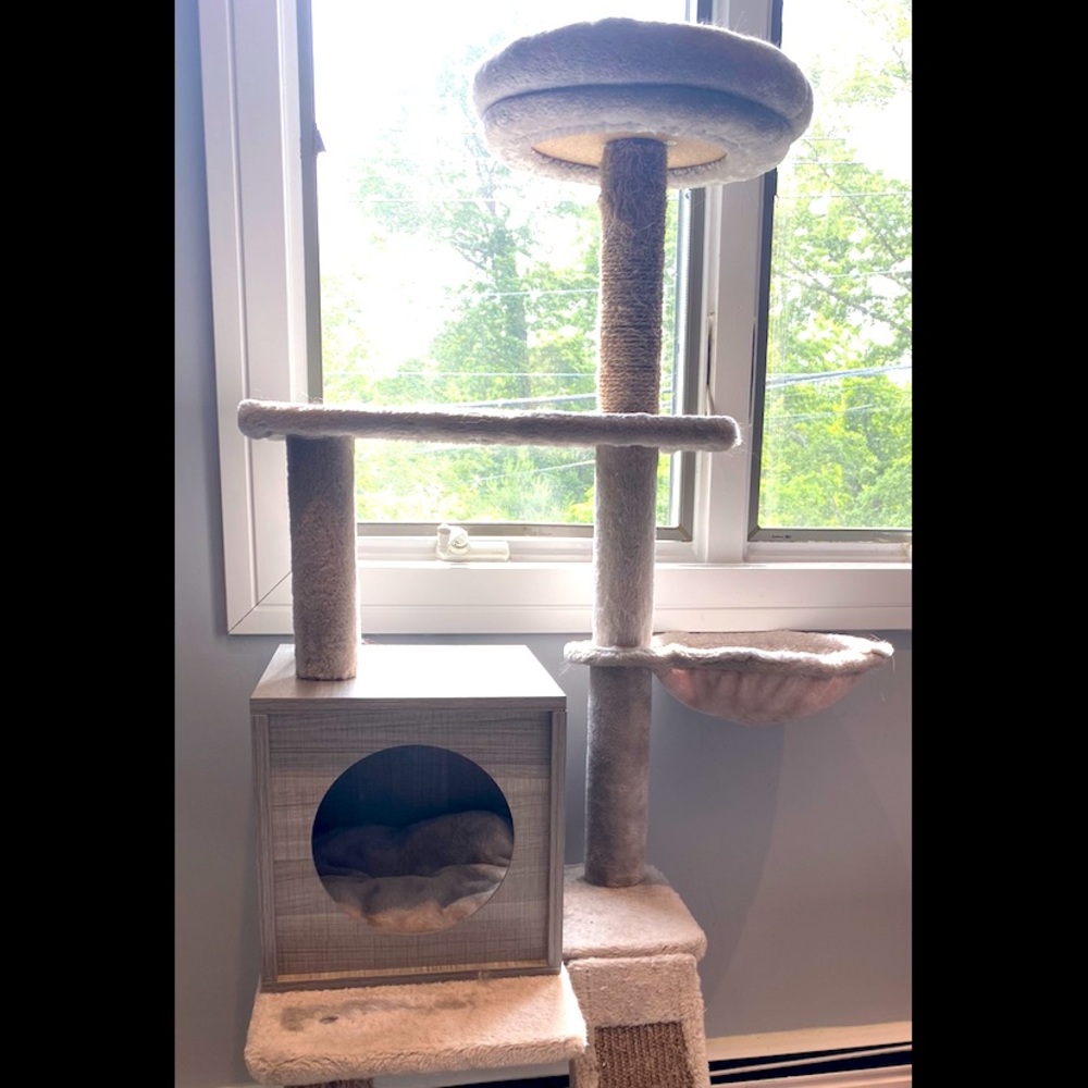 NOT FOR SALE Cat tree! Very tall! Great condition!